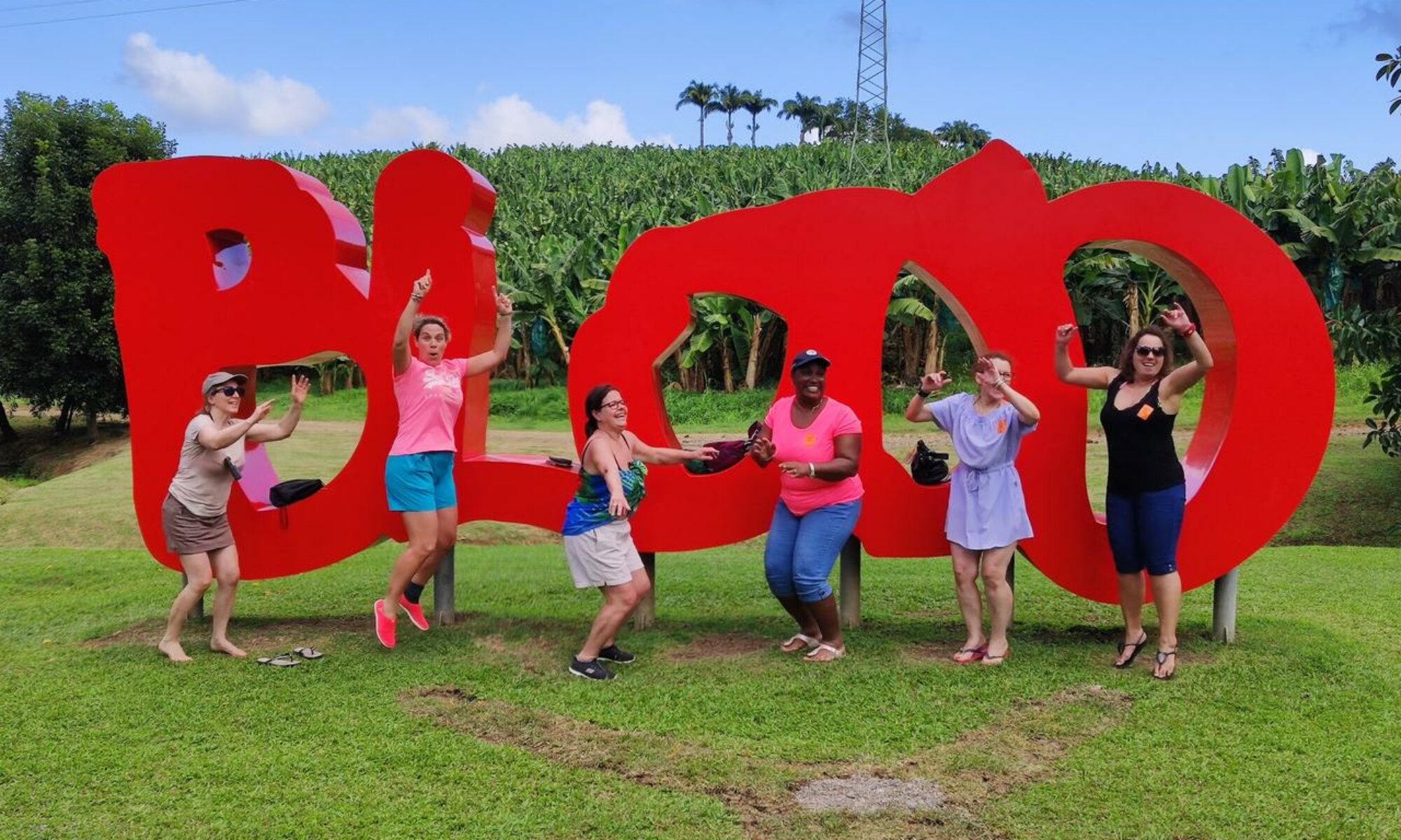 Propriétaires en Martinique